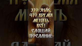 Ангел даёт знак: ты устал, потому что всё время идёшь не туда #приоритеты