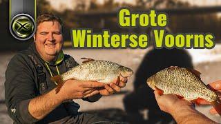 Grote winterse voorns op het kanaal - Juul Slabbers | witvissen