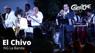 El Chivo | Carlo Josue en Concierto Internacional