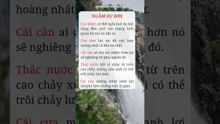 ngẫm sự đời #sotaycuocsong #baihoccuocsong #tamlysong #cuocsong #tamtrang #songhanhphuc #ngamsudoi