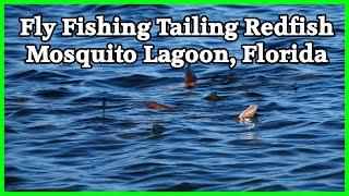 Fly Fishing for Tailing Redfish in Mosquito Lagoon Florida near Orlando