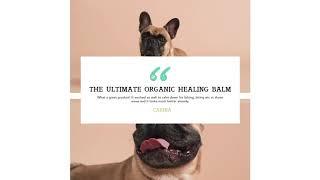 Ultimate Organic Healing Balm - Natural Dog Company