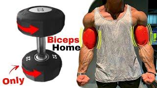 تمارين البايسبس في البيت بالدمبلز فقط (جدول تدريبي) - Dumbbell Biceps