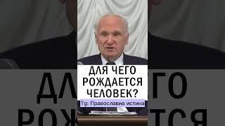 СМЫСЛ ЖИЗНИ...  #страдание #православие #духовныезаконы #духовнаяжизнь Осипов А.И.
