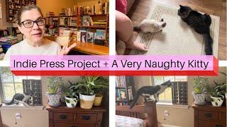 Indie Press Project: Counterpoint + a naughty kitty