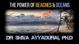 Water, ions, & Immune System Health | Dr. Shiva Ayyadurai, MIT PhD