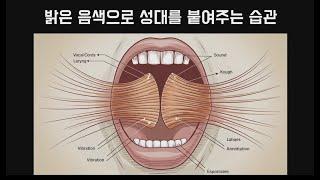 발성습관 03 밝은 음색으로 성대를 붙여주는 습관