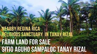 #vlog261 FARM LOT FOR SALE IN TANAY  FARM LAND FOR RETIREMENT #farmlotforsaleinphilippines #farmlot