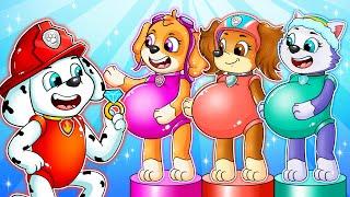 OMG...! Brewing Cute Pregnant & Baby Factory - Paw Patrol The Mighty Movie - Rainbow 3