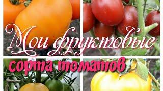 Мои фруктовые сорта томатов.Обзор теплиц.