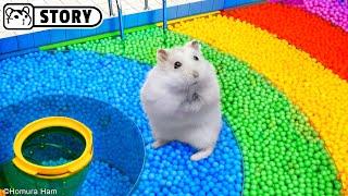  Hamster Escapes the Ball Pool Maze  Homura Ham