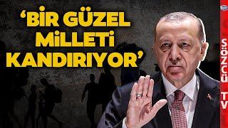 Bahadır Erdem Çileden Çıktı! Erdoğan'a Sığınmacı İsyanı! 'Bir Güzel Milleti Kandırıyor'