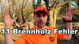 Die 11 häufigsten Fehler beim Brennholz selber machen