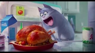 The Secret Life of Pets - Hungry cat (Clip)