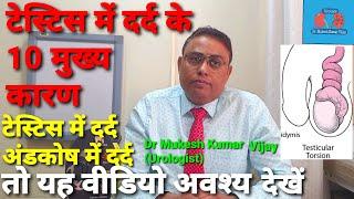 अंडकोष में दर्द के 10 कारण | Testis Pain 10 main causes (Hindi) | Testis Pain Treatment