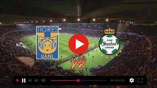 Santos VS Tigres Copa Sky Mexico 2022 EN VIVO