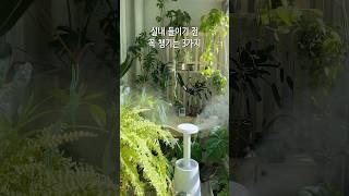 겨울엔 식물들 어떻게 하세요 ? #식물 #plants #가드닝 #플랜테리어