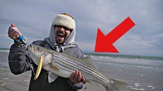 Surf Fishing for Fall Striped Bass New Jersey (UNREAL!)// 2-Day Grind Pays Off + Catch 'n Cook