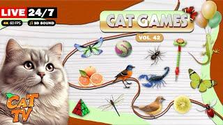  24/7 LIVE: CAT GAMES  Ultimate CAT TV Compilation  VOL 42 | 10H Non-Stop