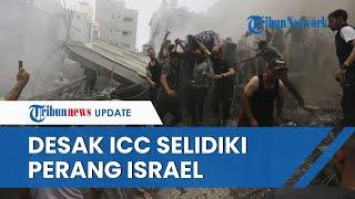 Desak ICC Selidiki Kejahatan Perang Israel di Gaza, Zomlot: Kami Butuh Keadilan Bukan Balas Dendam!