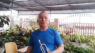 JOPAY - Mayonnaise  (Trumpet) cover by Edison Bartolay