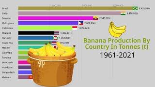 Banana Production By Country | Countries That Produce The Most Bananas 1961-2021