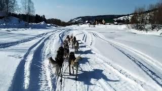 В поход на собачьей упряжке до Кумзасс - Усинский. Ночую в нарте на улице. Горная Шория.