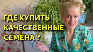 Где купить качественные семена цветов и овощей.