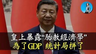 質樸的皇上：通縮有什麼不好？統計局修改統計方法，今年GDP穩了！｜小翠時政財經 [20241227#644]