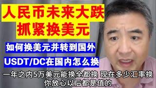 翟山鹰：人民币未来一定大跌 现在抓紧换美元丨如何换美元并转到国外丨USDT/USDC在国内怎么换