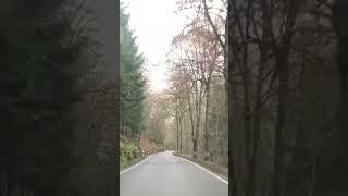 Driving heaven? Backroads in France  | #cars #shorts #roadtrip #travel