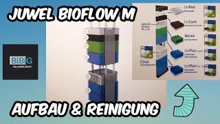 Mein Juwel Bioflow M Innenfilter | Aufbau & Reinigung für gute Leistung | Aquarium-Technik | BiBiG