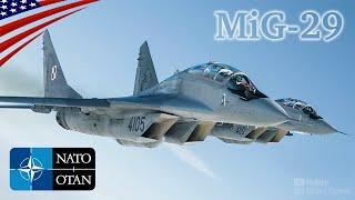 NATOのソ連製MiG-29戦闘機が東部防衛ラインの空を守る