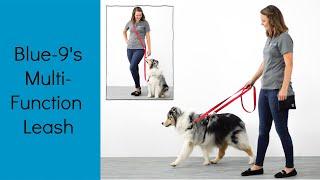 How  To Use Blue-9's Multi-Function Dog Leash | Help Train Your Dog To Walk Nicely On Leash