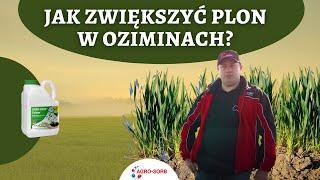 Zwiększenie plonu ozimin | Jak stosować Agro-Sorb Folium w oziminach | Uprawa pszenicy ozimej|