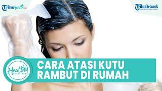 Cara Membasmi Kutu Rambut dengan Bahan Alami hanya di Rumah: Minyak Adas Manis & Pohon Teh