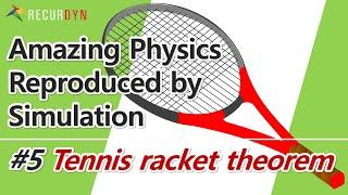 Amazing PhysicsReproduced by Simulation #5 Tennis racket theorem