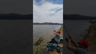 Feeder fishing in Bulgaria язовир Жребчево.Под паметникът