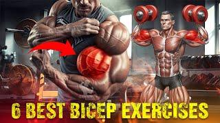 6 Most Effective Bicep Exercises at the Gym - Gym Body Motivation