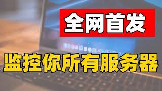 比哪吒监控面板好用一万倍的VPS监控神级面板｜ 一件部署安装教程 开源免费｜轻松管理多台VPS 信息可视化 管理更方便 支持SSH连接（CC字幕）