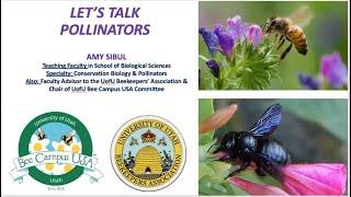 How To "Bee" Pollinator Friendly with Amy Sibul