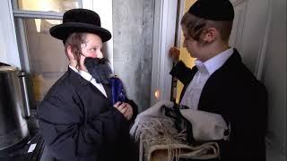 Belz Day Camp Music Video On Michoel Schnitzler's Song, Lebedige Sefer Torah