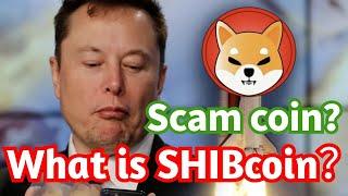 Shiba SHIB is SCAM coin？「币圈男神」｜87man｜比特币，以太坊，狗狗币｜加密货币