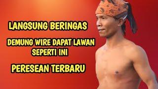 TUMBEN DEMUNG WIRE DAPAT LAWAN SEPERTI INI PERESEAN TERBARU