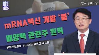 mRNA백신 개발 ‘붐’ 배양백 관련주 원픽 / 최성민의 빅샷+ / 박영호 와우넷 파트너 /한국경제TV