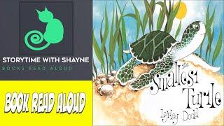 Storytime Delight: Picture Book Read Aloud | The Smallest Turtle