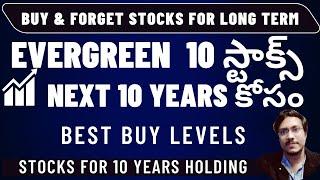 EVER GREEN MULTIBAGGER STOCKS FOR NEXT 10 YEARS | Multibagger Fundamental Stocks For Long Term