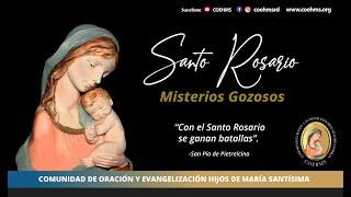 Santo Rosario - Misterios Gozosos - 29/07/2024