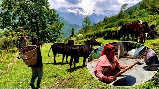 Discovering the Secrets of Living in Balance with Nature in Nepal: Nepali Mountain Rural Life