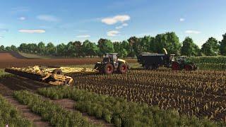 Farming Simulator 25 / Map Zielonka / Timelapse / Disking, sowing and harvest silage